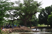 mali218