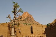 mali220