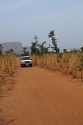 mali222