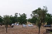 mali233