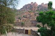 mali238