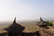 mali239