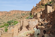 mali244