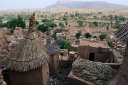 mali251