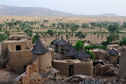 mali254
