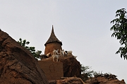 mali256