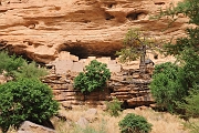 mali273