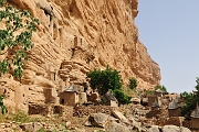 mali277