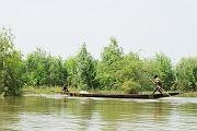 mali306