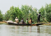 mali307