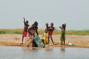 mali310