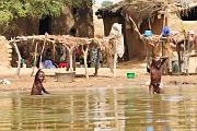 mali318