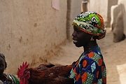 mali329