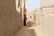 mali330