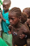 mali332