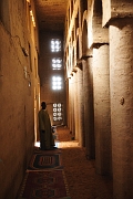 mali337