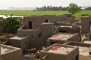 mali343