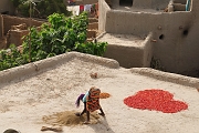 mali344