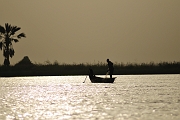 mali350