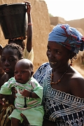 mali377