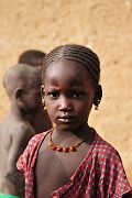mali379