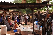 mali419