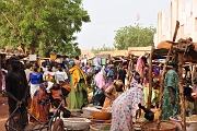 mali421
