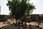 mali454