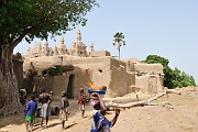 mali461