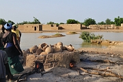 mali462