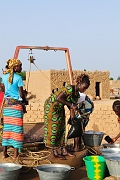 mali466