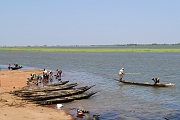 mali493