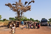 mali501