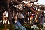 mali502