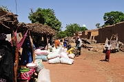 mali503