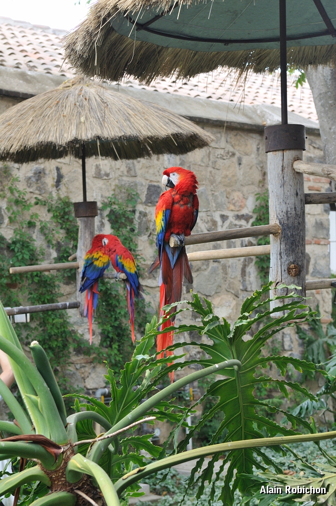 guatemala028.jpg