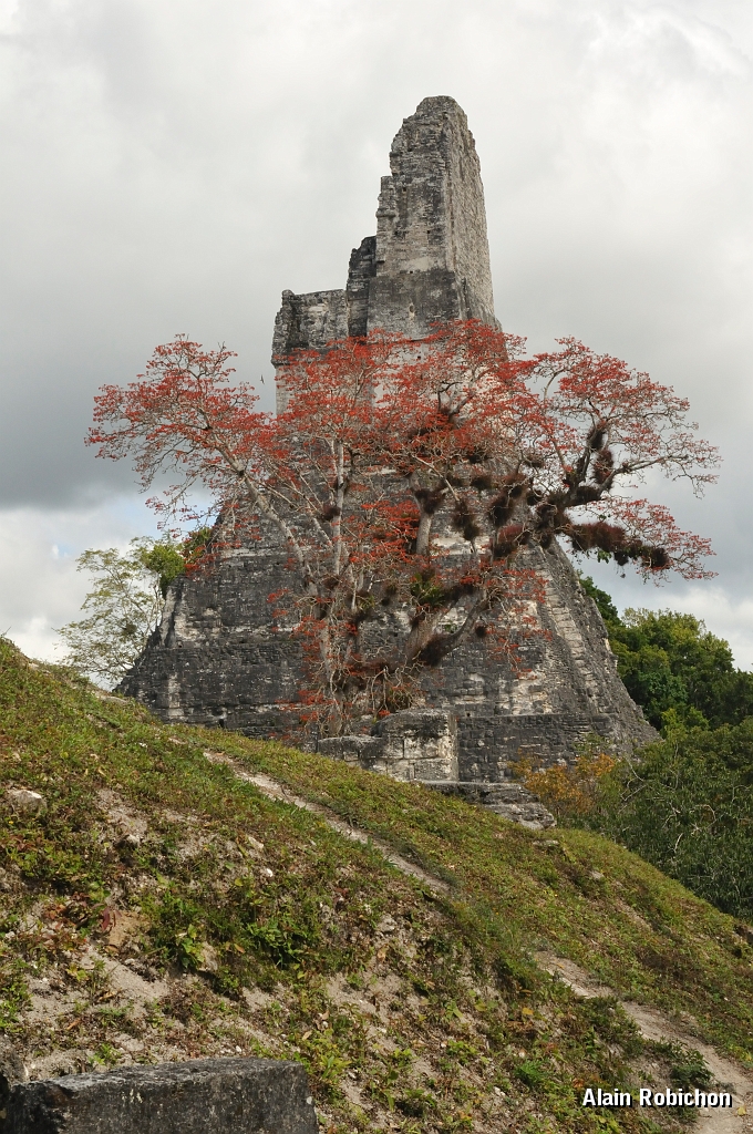 guatemala178.jpg