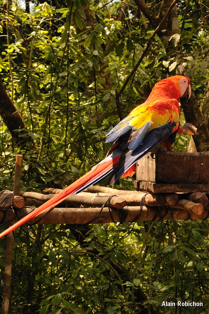 guatemala255.jpg