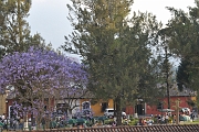 guatemala044