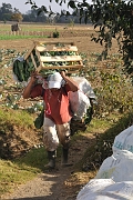 guatemala053