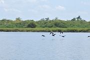 guatemala145