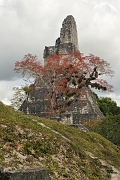 guatemala178