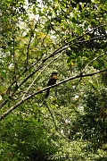 guatemala182
