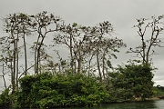 guatemala186