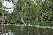 guatemala209