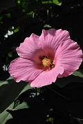 guatemala222
