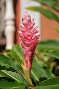 guatemala223