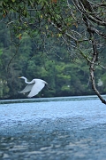 guatemala229