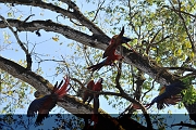 guatemala242