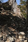 guatemala247
